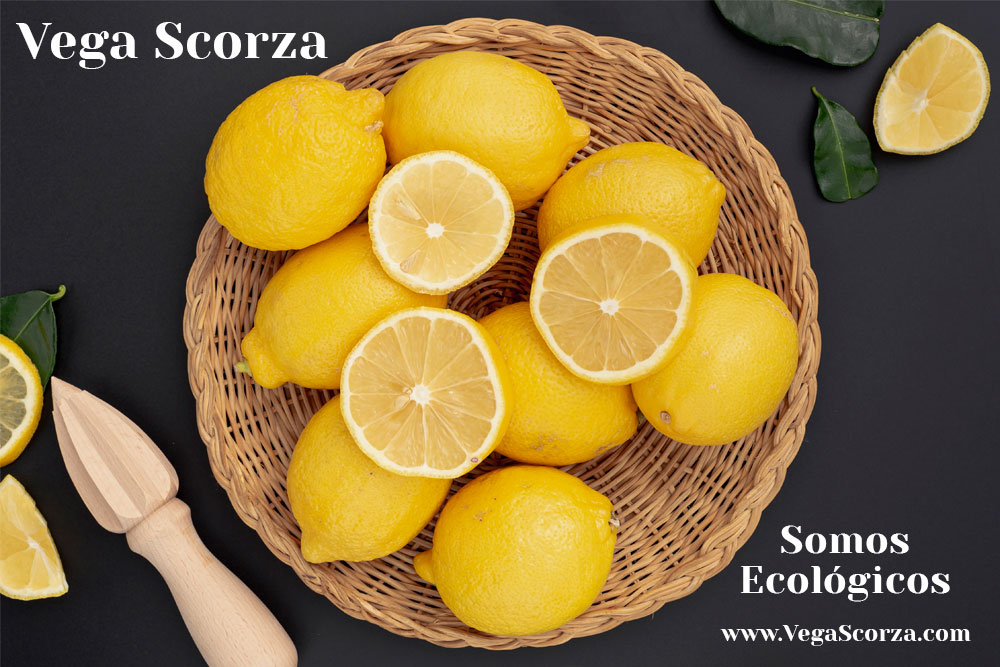 Why drink organic drinks? Vega Scorza and it’s secret