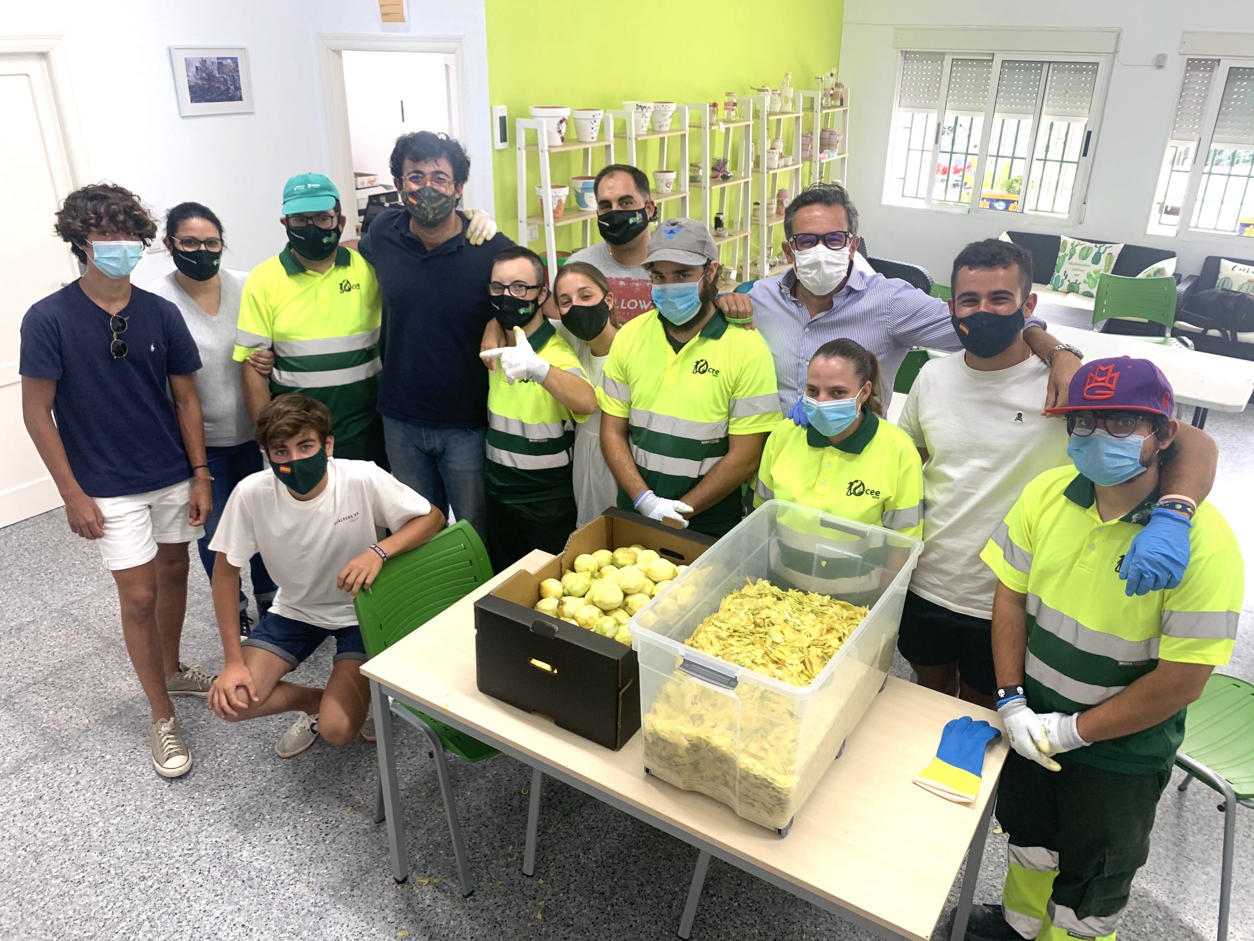 500 kilos de limones ecológicos de la Vega Baja para el licor más solidario